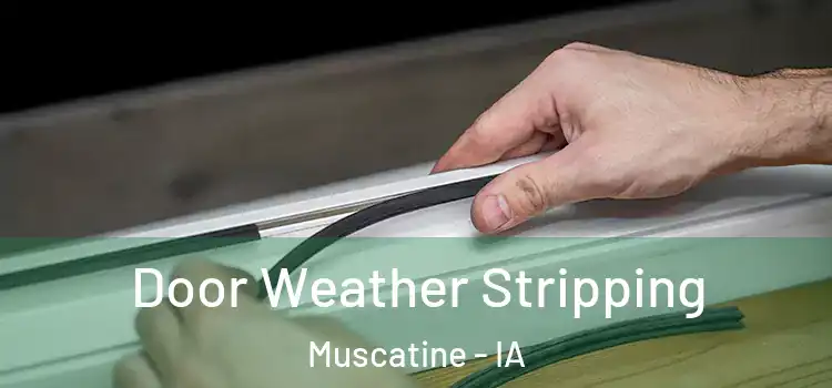 Door Weather Stripping Muscatine - IA
