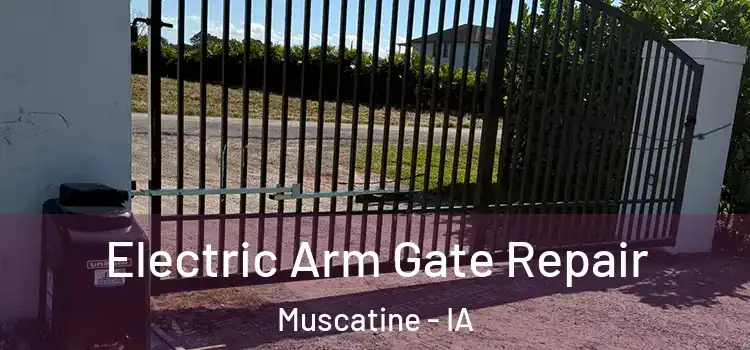 Electric Arm Gate Repair Muscatine - IA
