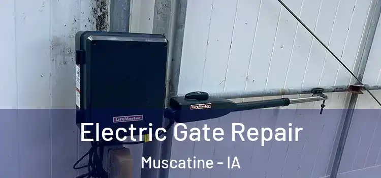 Electric Gate Repair Muscatine - IA
