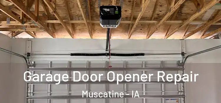  Garage Door Opener Repair Muscatine - IA