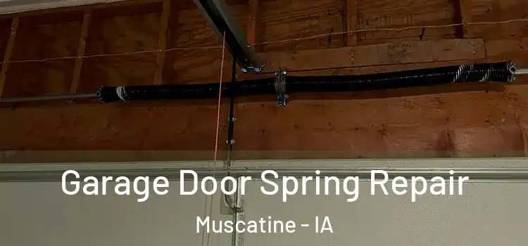  Garage Door Spring Repair Muscatine - IA