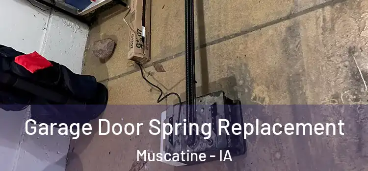 Garage Door Spring Replacement Muscatine - IA