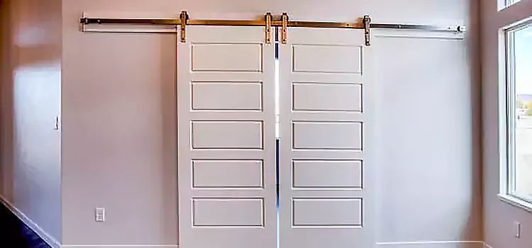 Glass Barn Door with Installation Hardware Kit Muscatine