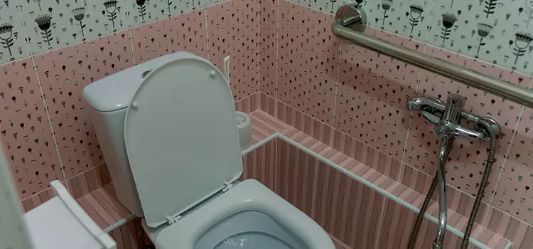 Meeting Diverse Needs With Accessible Restroom Solutions in Muscatine, IA