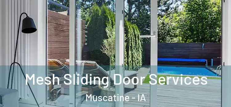 Mesh Sliding Door Services Muscatine - IA