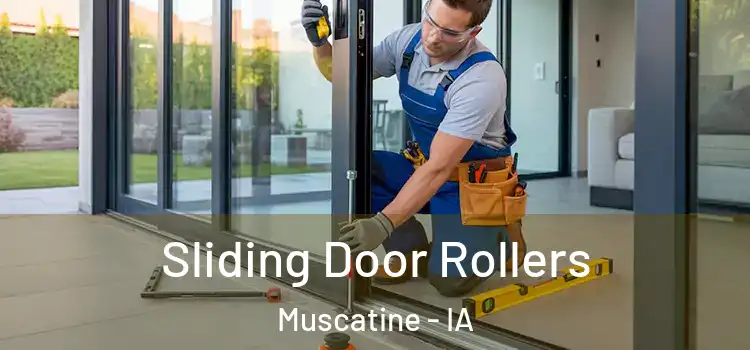 Sliding Door Rollers Muscatine - IA